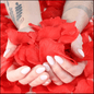 Rose PetalsRose Petals